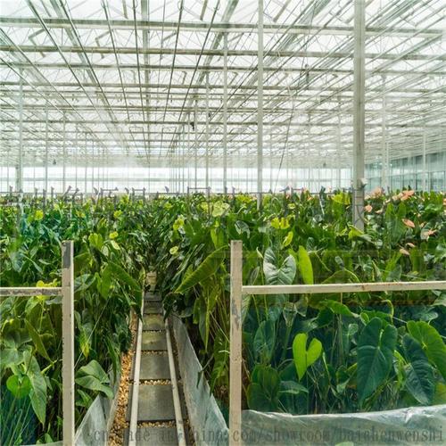 锦屏文洛型温室七洲温室工程设计
