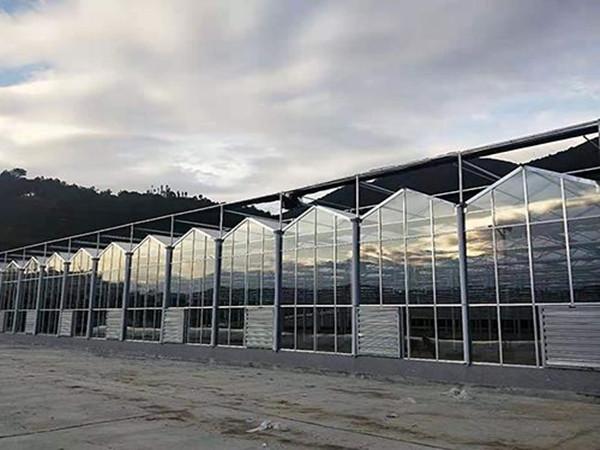 土质,种植模式,因地制宜老设计建设各种具有农业种植用途的温室大棚