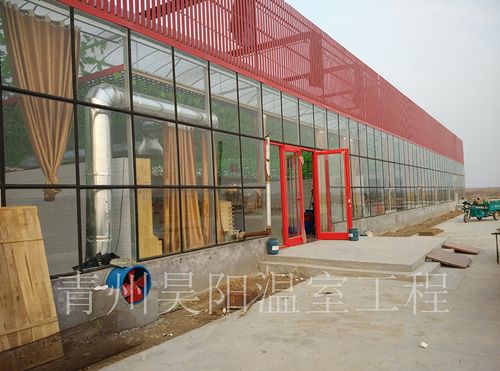 工程案例 | 青州市昊阳温室工程 匠心构筑现代农业新引擎
