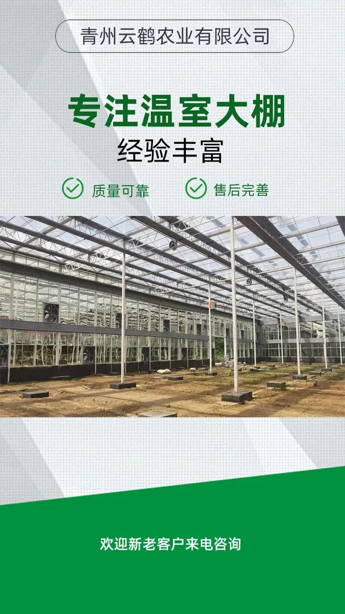 江苏高温大棚的绿色革命 云鹤农业以匠心设计引领现代农业新风向