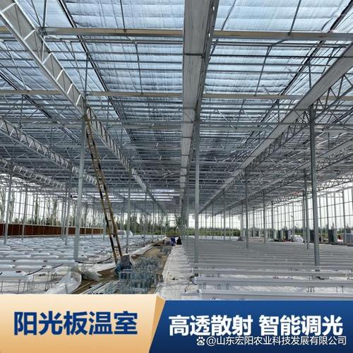山东阳光板温室工程现代农业的智慧之选