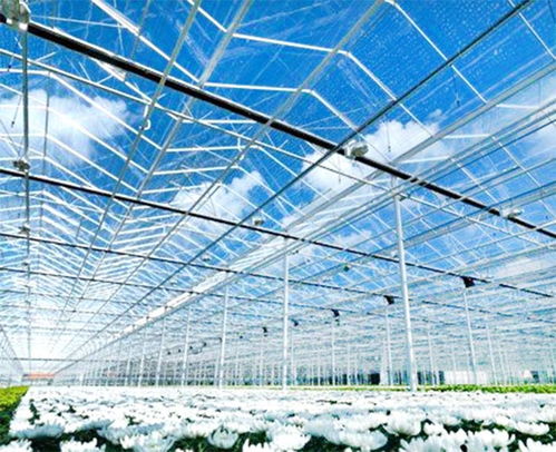 温室蔬菜大棚骨架厂家 庆泰温室骨架工程安装 温室工程设计 为您铸造高效农业的坚实脊梁