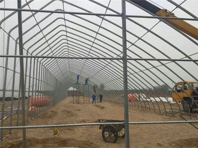 温室大棚的主要用处及建设要点 从建源温室搭建到工程设计全解析