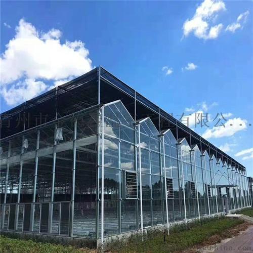 产品目录 制造加工机械 农业机械 农业工具 > 连栋智能温室 温室设计