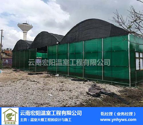 宏阳温室大棚 图 ,温室大棚施工方案,玉溪温室大棚