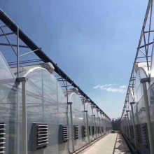 【薄膜连栋温室大棚蔬菜育苗大棚圆拱弧形连栋棚设计建造图片】薄膜连栋温室大棚蔬菜育苗大棚圆拱弧形连栋棚设计建造 - 昱泰温室工程