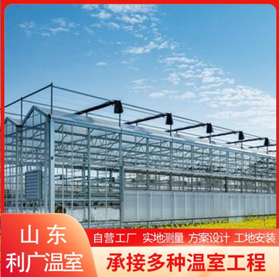 文洛式连栋玻璃温室搭建 智能可连栋造价 蔬菜种植大棚预算表